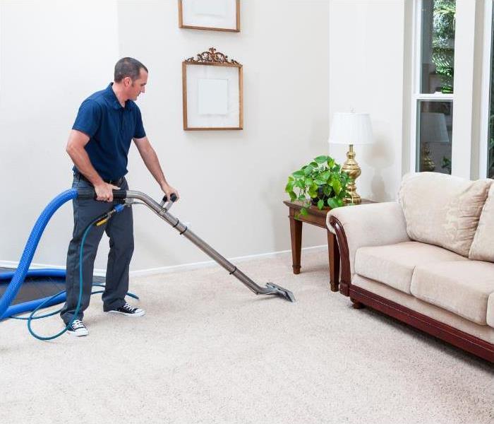 Professional cleaning a carpet.